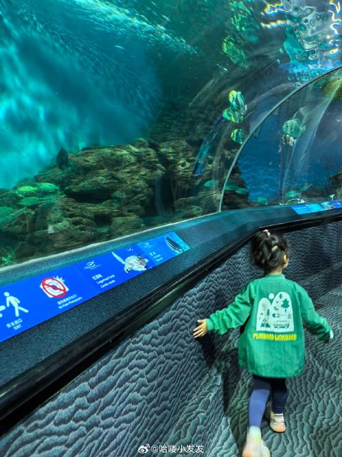 上海海洋水族馆怎么样，上海海洋水族馆官方网站？