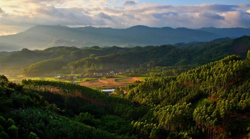 佛山景点，深圳佛山景点？