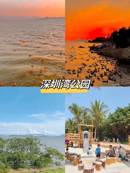 深圳景点排名榜前十名，深圳景点排名榜前十名旅游攻略