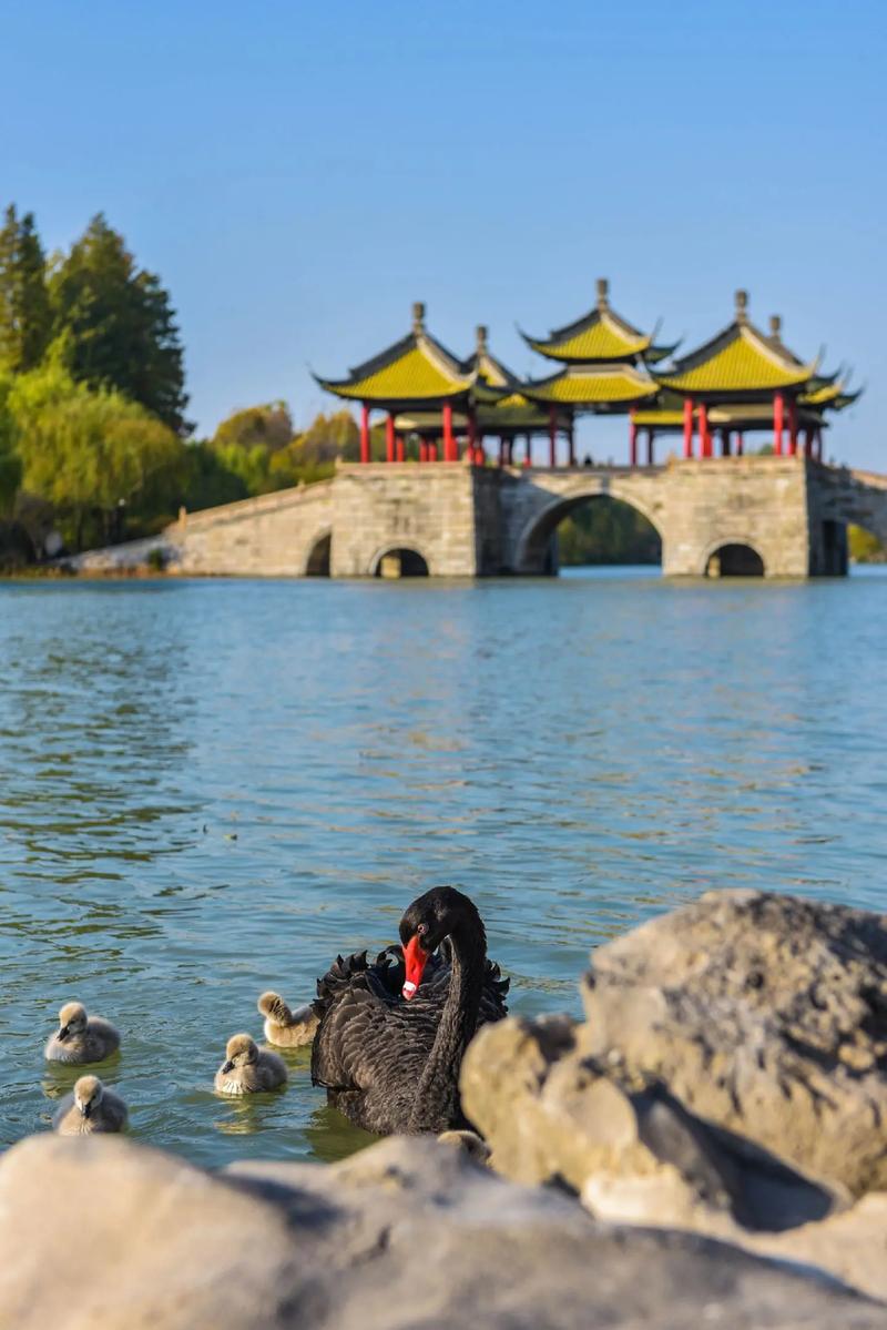 江苏的旅游景点，江苏的旅游景点和美食