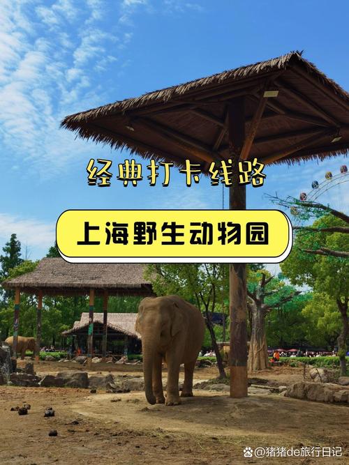 上海野生动物园一日游攻略，上海野生动物园一日游攻略门票？