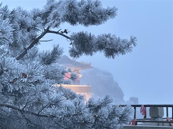 泰山天气预报？泰山天气预报最新15天？