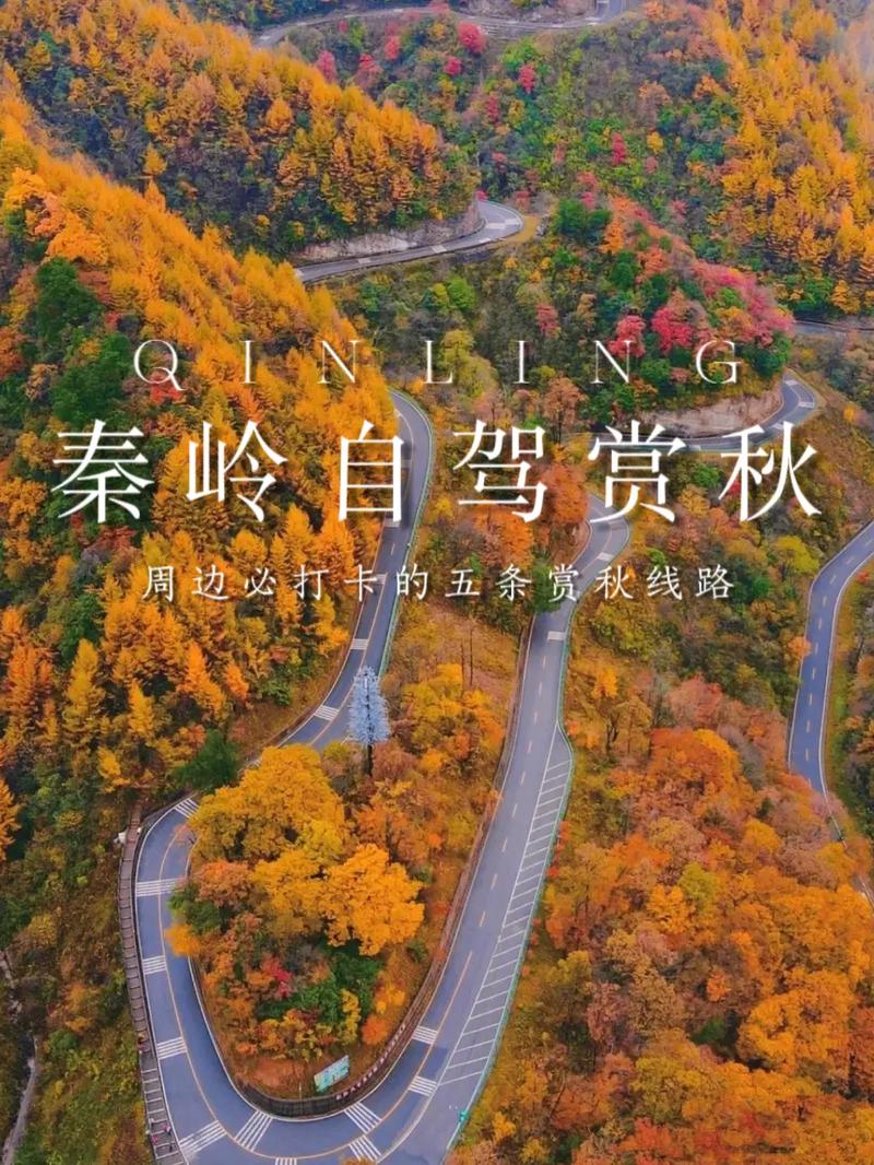 十月份自驾游推荐，10月自驾游