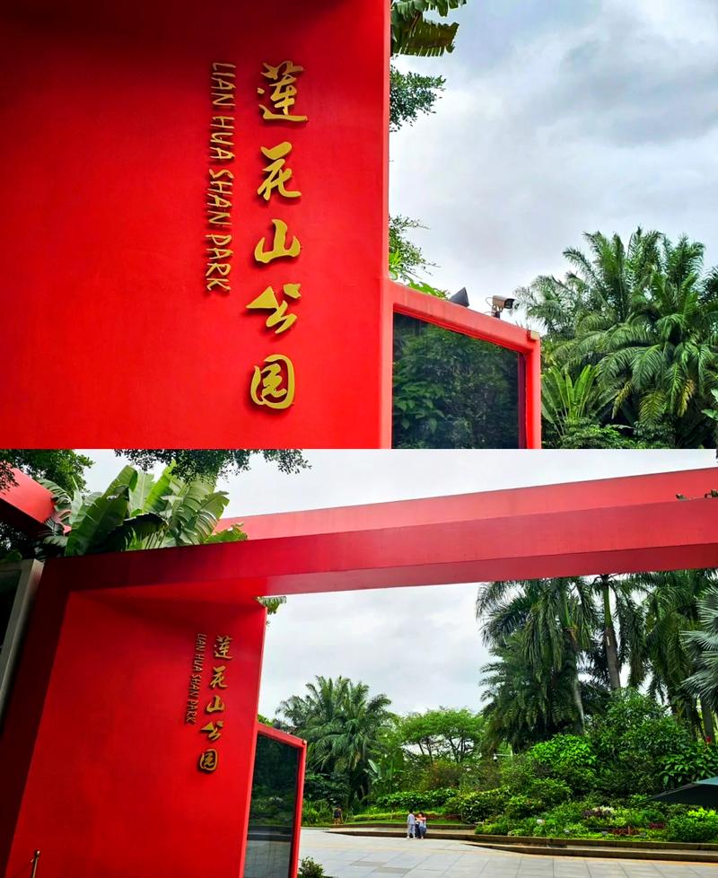 莲花山公园，莲花山公园灯光秀