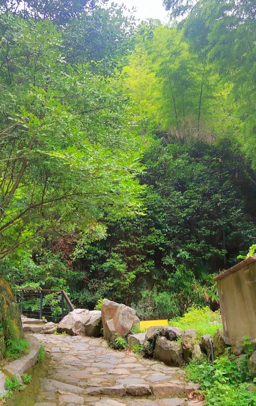 莫干山旅游攻略三日游记，莫干山三日游旅游住宿攻略