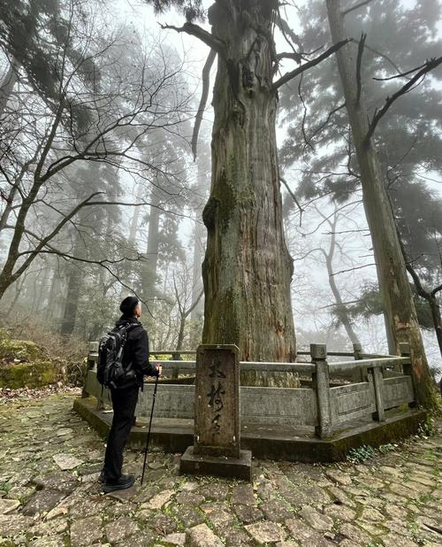 天目山风景区，天目山风景区天气预报七天？