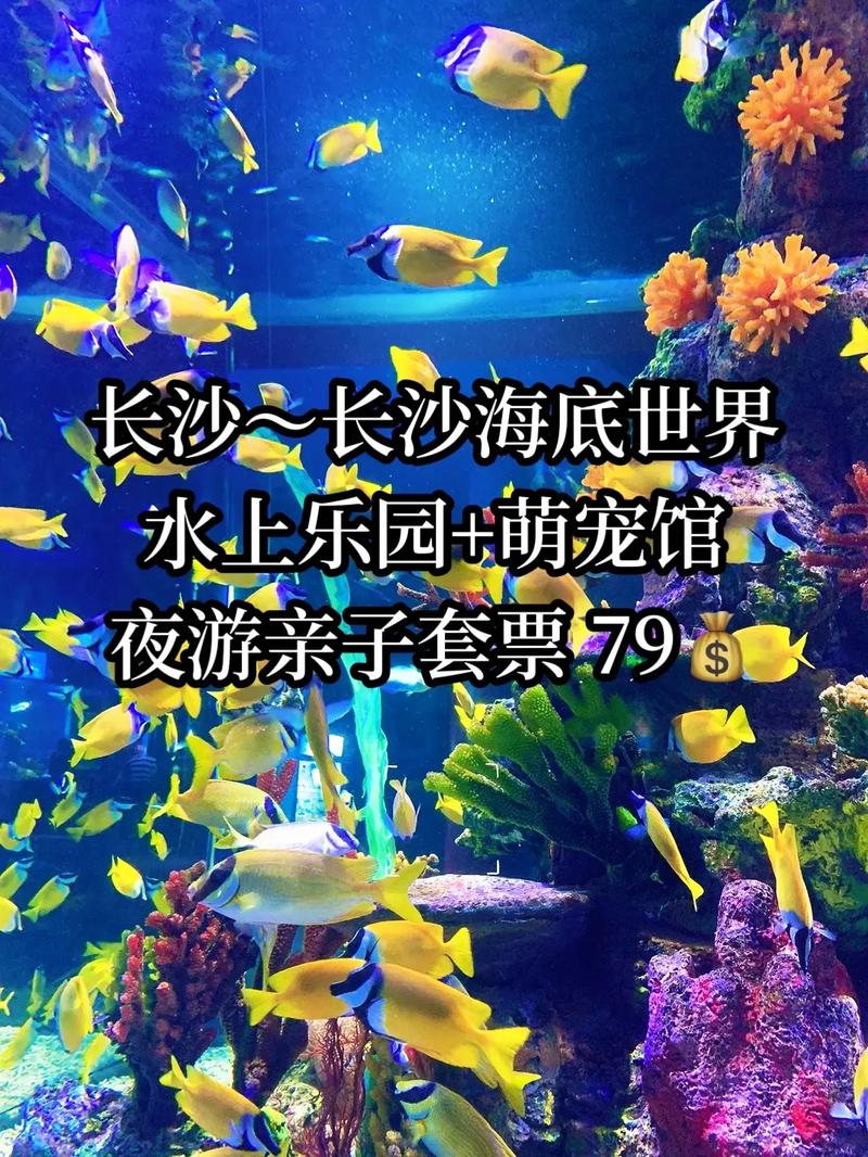 长沙海底世界门票，长沙海底世界门票多少钱一张?