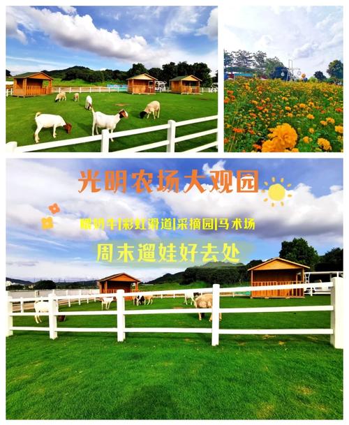 深圳光明农场游玩攻略，深圳光明农场游玩攻略图