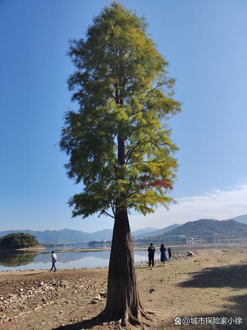 宁波一日游比较好的地方，宁波一日游比较好的地方免费2020？