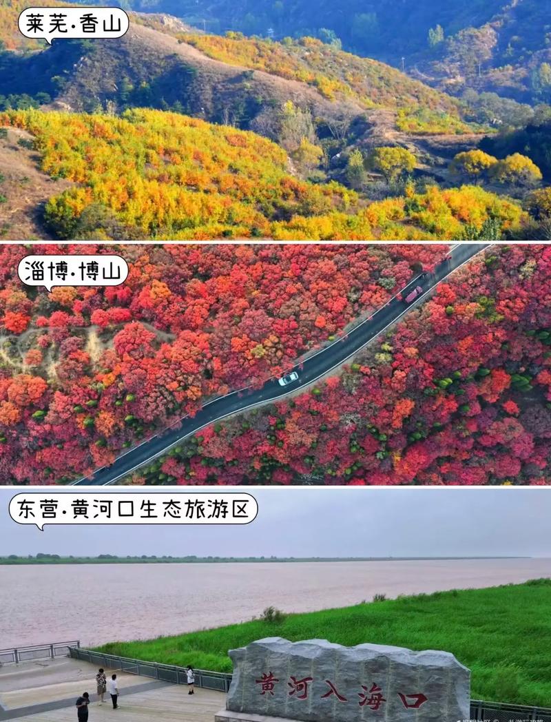 山东旅游攻略路线推荐，山东旅游攻略路线推荐一下