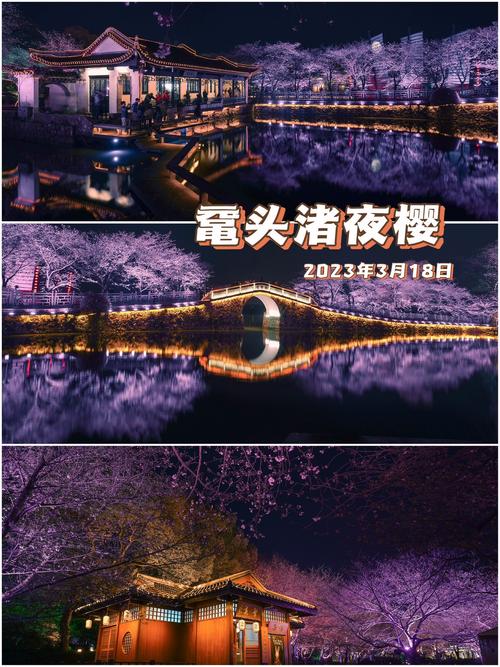 无锡鼋头渚门票多少钱，无锡鼋头渚门票多少钱一张?江苏省老年人有优惠吗？