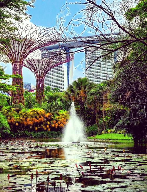 新加坡旅游景点，新加坡旅游景点门票费用表