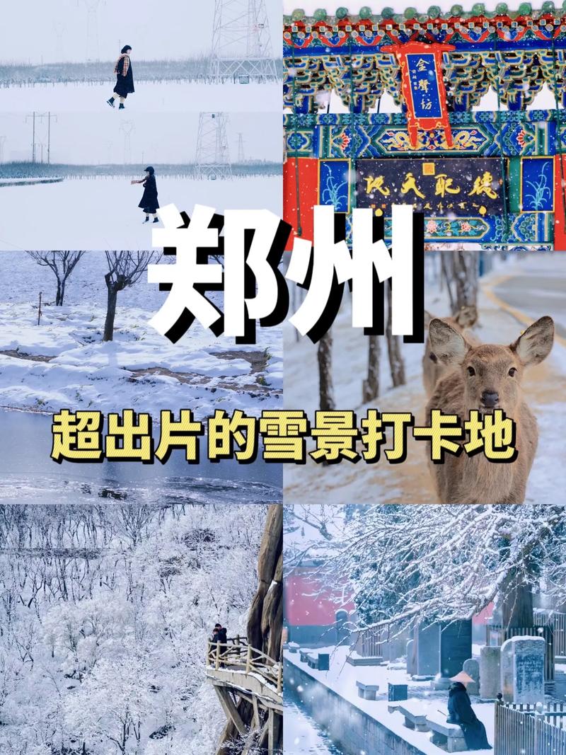 郑州市内一日游攻略？郑州市一日游最佳安排？