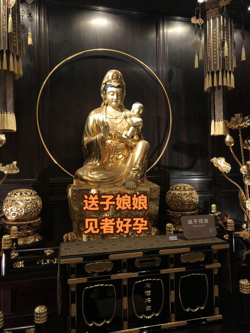 普陀山求什么最灵，女人去普陀山求什么最灵