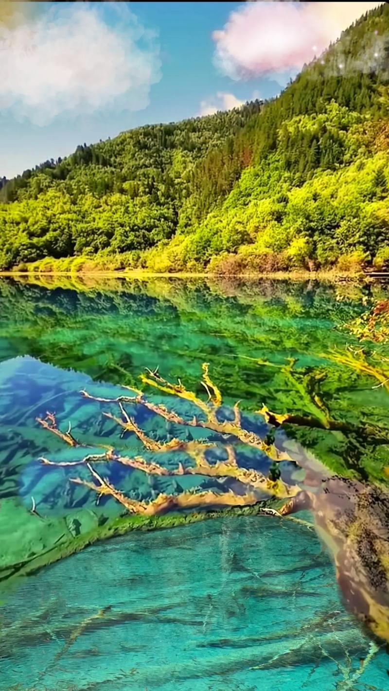 九寨沟风景图片高清，九寨沟风景图片高清大图
