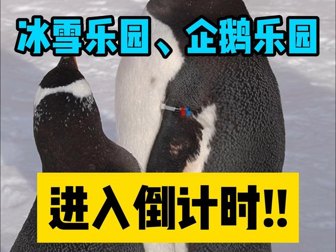 长春海洋馆门票多少钱？海洋公园门票多少钱一张？