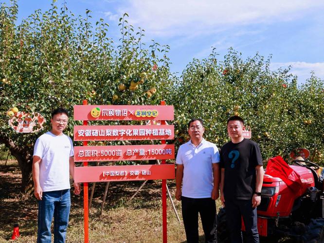 疫情导致水果？疫情导致水果滞销怎么办？