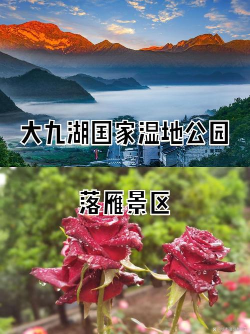 神农架大九湖国家湿地公园，神农架大九湖湿地公园介绍？