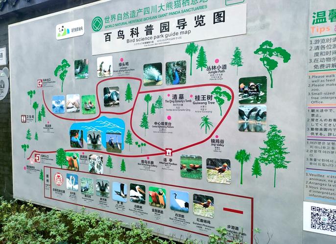 碧峰峡旅游线路攻略，碧峰峡旅游线路攻略图？
