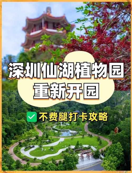 深圳仙湖植物园要门票吗，深圳仙湖植物园门票多少钱?有优惠政策吗?