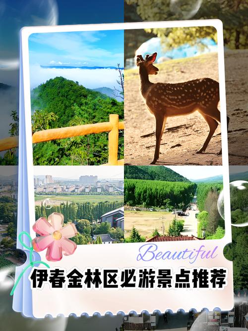 伊春都有哪些旅游景点，伊春都有哪些旅游景点名称