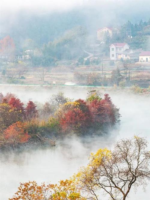 十一月国内旅游最佳去处，十一月份国内适合旅游的景点？