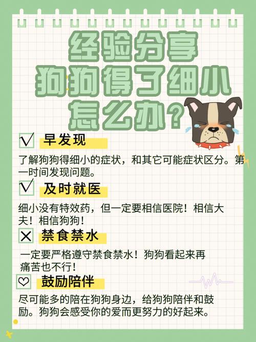 疫情禁食名单，疫情期间禁止食用