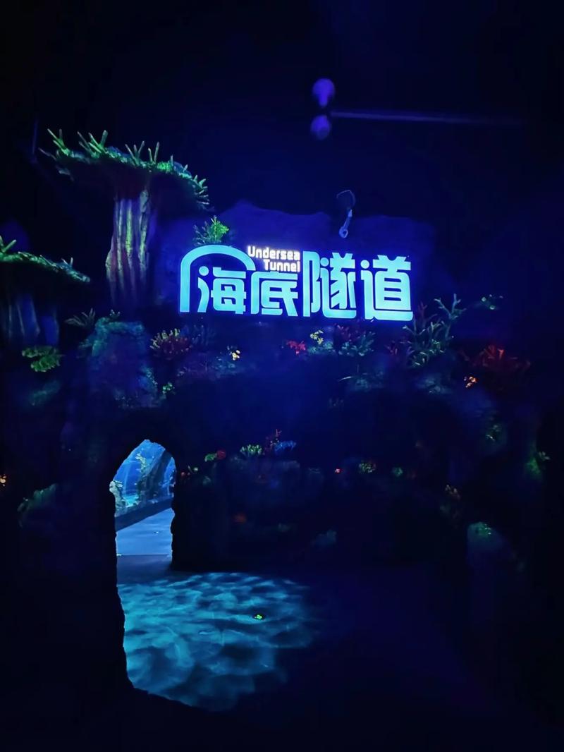 武汉海洋世界门票多少钱，武汉海洋世界2021年免费吗？