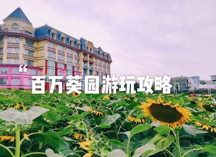 百万葵园有什么好玩的项目？百万葵园有什么好玩的东西？